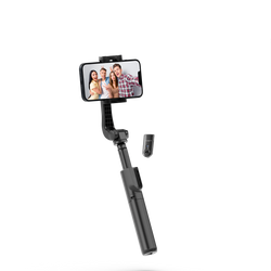 Asta per selfie