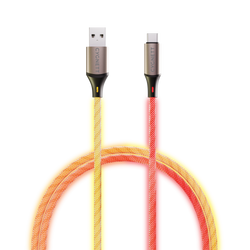 Cavo USB-C a USB-A 1,2m Luminoso