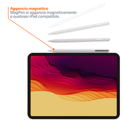 Active Stylus per iPad