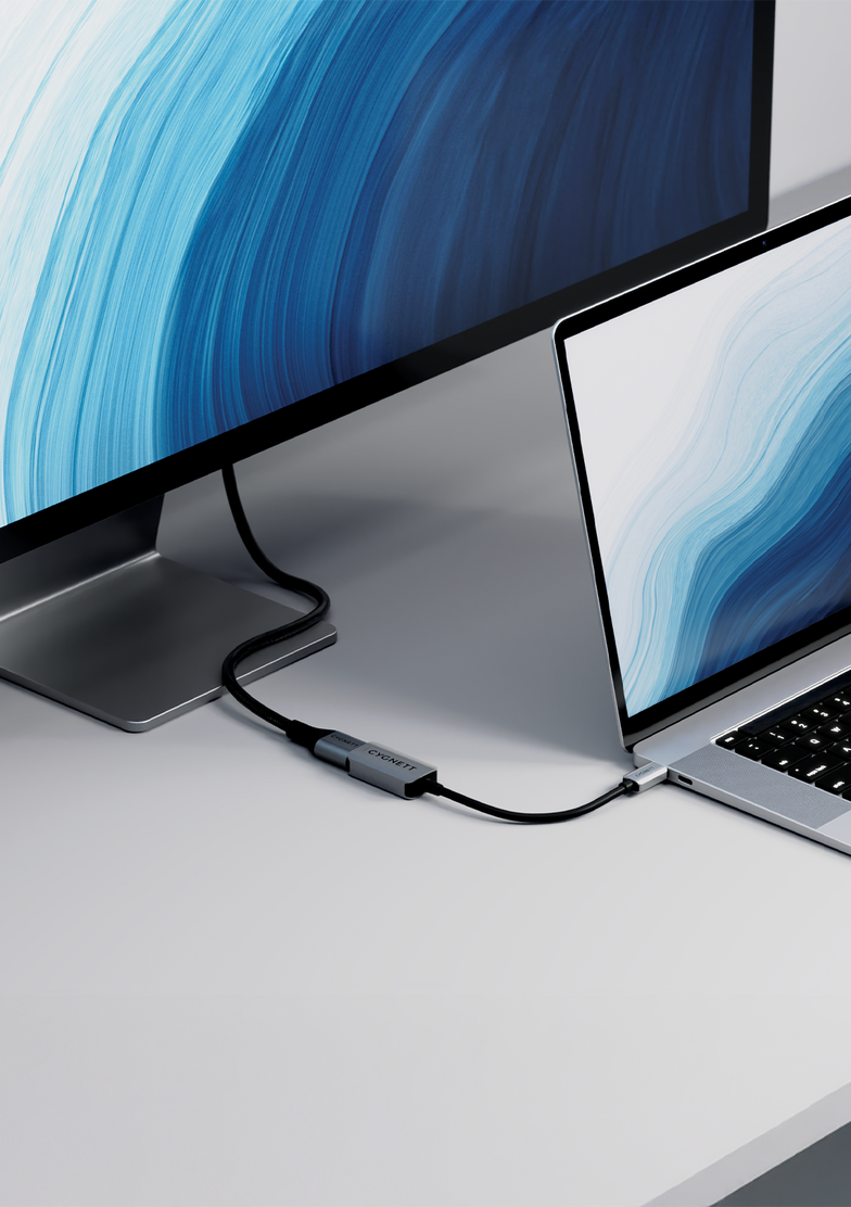 Adattatore USB-C a HDMI Singolo